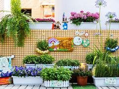 -协和实验幼儿园