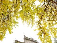 -金堂县云顶石城风景区