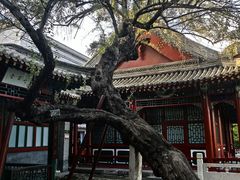 -莲池书院博物馆