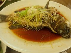 -顺峰渔港中国人的餐厅