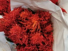 -双季花艺园艺市场(浦东店)