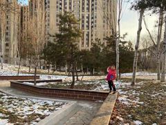 -大兴滨河森林公园