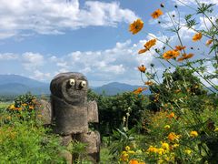 -黄色小屋