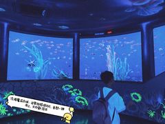 -沈阳海洋探索中心