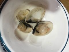 -顺德哥卜卜贝(旗舰店)