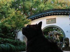 -绮园景区