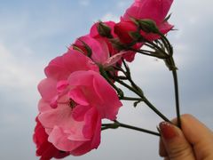 -梵云依家小冒菜(新街口总店)