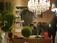 -苏浙总会(国金中心店)