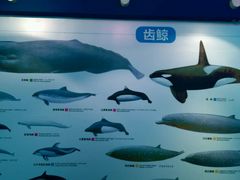 android_upload_pic-上海海洋大学鱼文化博物馆(军工路校区)