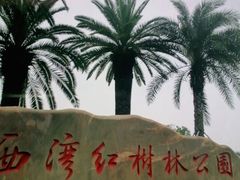 -宝安西湾红树林湿地公园