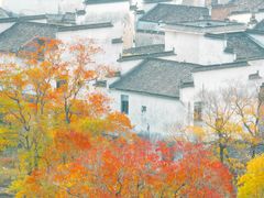 -塔川景区