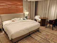 -沈阳瑞士酒店