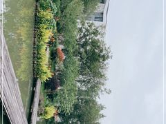 -湘湖金融镇