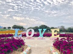 -松山湖梦幻百花洲