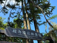 -梭布垭石林景区