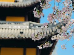 -龙华寺