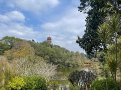 -深圳仙湖植物园