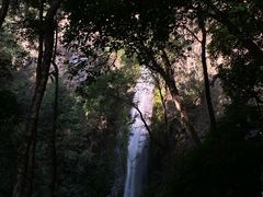 -莫里热带雨林景区
