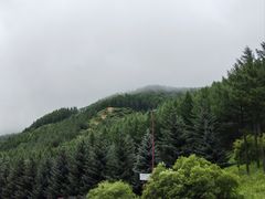 -塞罕坝国家级自然保护区