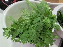 -草原传奇鲜羊火锅(桥北店)