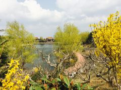 -威海华夏城景区