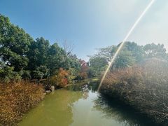 -上海滨江森林公园