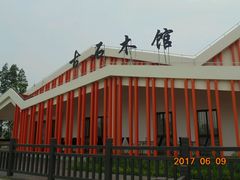 -上海长兴岛郊野公园