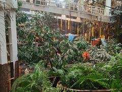 -正佳雨林生态植物园