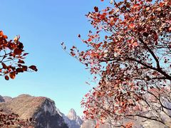 -周口店坡峰岭风景区