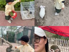 -水上乐园·欢乐世界