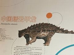 -衢州市博物馆