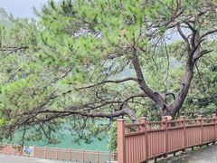-佛山市三水区大南山森林公园