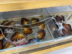 -十八字金·银饰·开蚌DIY·手工体验团建(君太百货店)