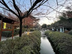 -汤山一号温泉度假区
