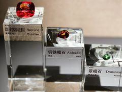 -中国地质博物馆