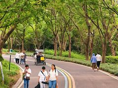 -同里国家湿地公园