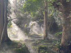 -Chom Cafe and Restaurant