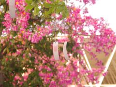 -广州花之恋城堡酒店