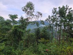 -广东天露山旅游度假区