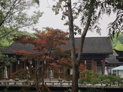 -杭州植物园