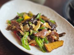 -滇野云南野生菌餐厅(陕西南路店)