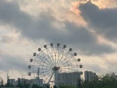-万绿园