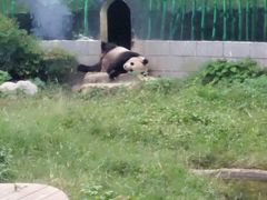 -南昌动物园