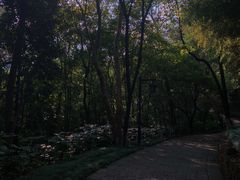 -杭州半山国家森林公园