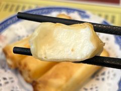 炸牛奶-捷信牛奶甜品世家(五道口店)