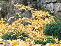 -无锡惠山寺