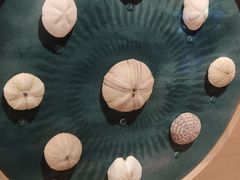 -中国湿地博物馆