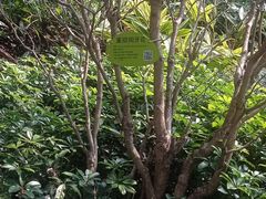 -晓港公园