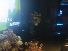 -黑桃K生日订制KTV
