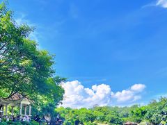 -广州莲花山旅游区